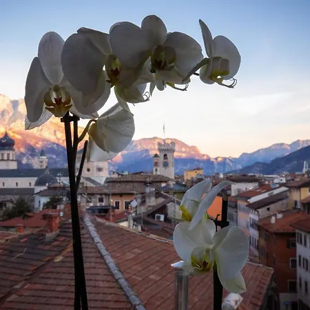 Πανσιόν Torrione